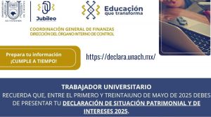 Declaración patrimonial y de intereses 2025