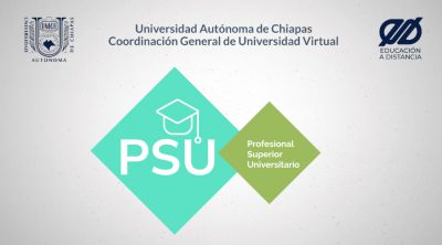 Profesional Superior Universitario