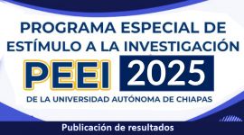 Resultados del programa especial de estímulo a la investigación (PEEI)