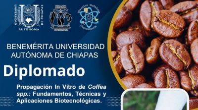 Diplomado en Propagaci&oacute;n In Vitro de Coffea